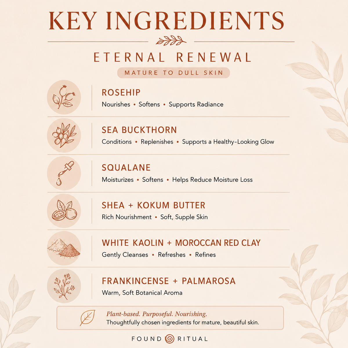 Eternal Renewal | Complete Skin Care Collection for Mature Skin